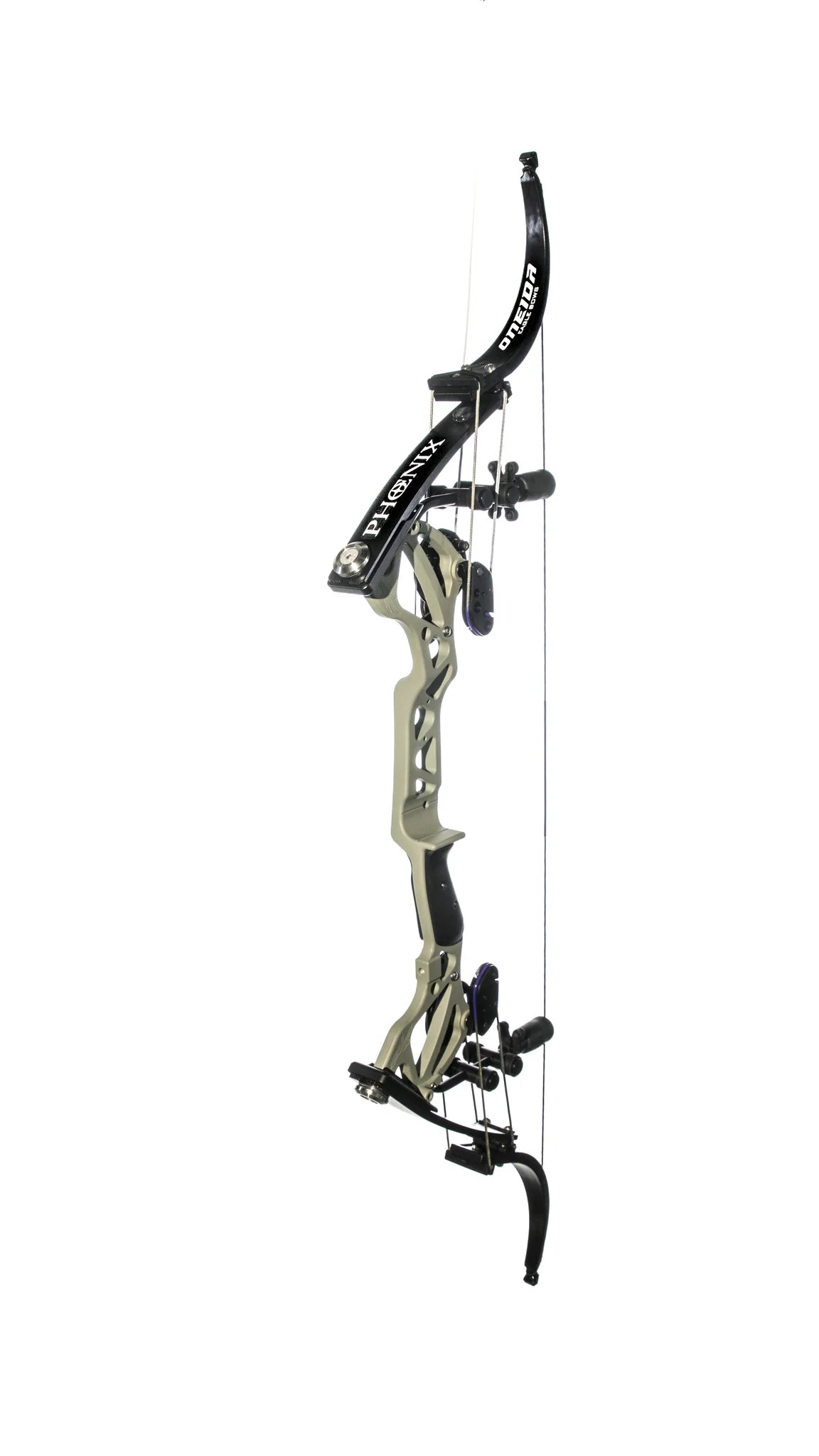 Oneida Eagle Bow - Phoenix LAST ONE IN STOCK!