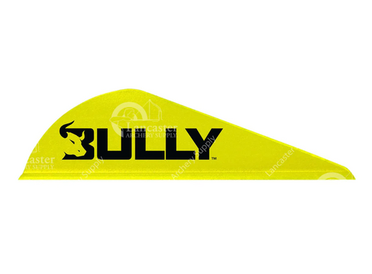 Easton Bully Vane 2" (50 pack)