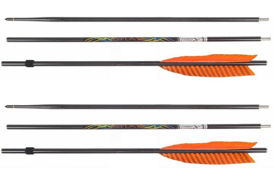 Carbon Express Atlatl Darts (2 Pack)