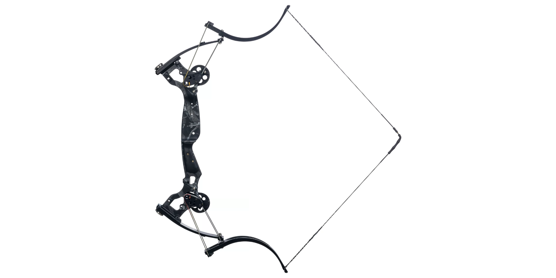 Oneida bow- Osprey  Bowfishing bows, Bowfishing, Archery bows