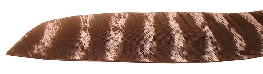 Bearpaw Full Length Natural Barred Feather RW (Dozen)