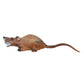 Bearpaw Rat Longlife 3D Target